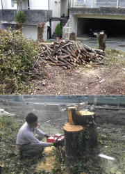 宝塚市で伐採なら関西緑化
